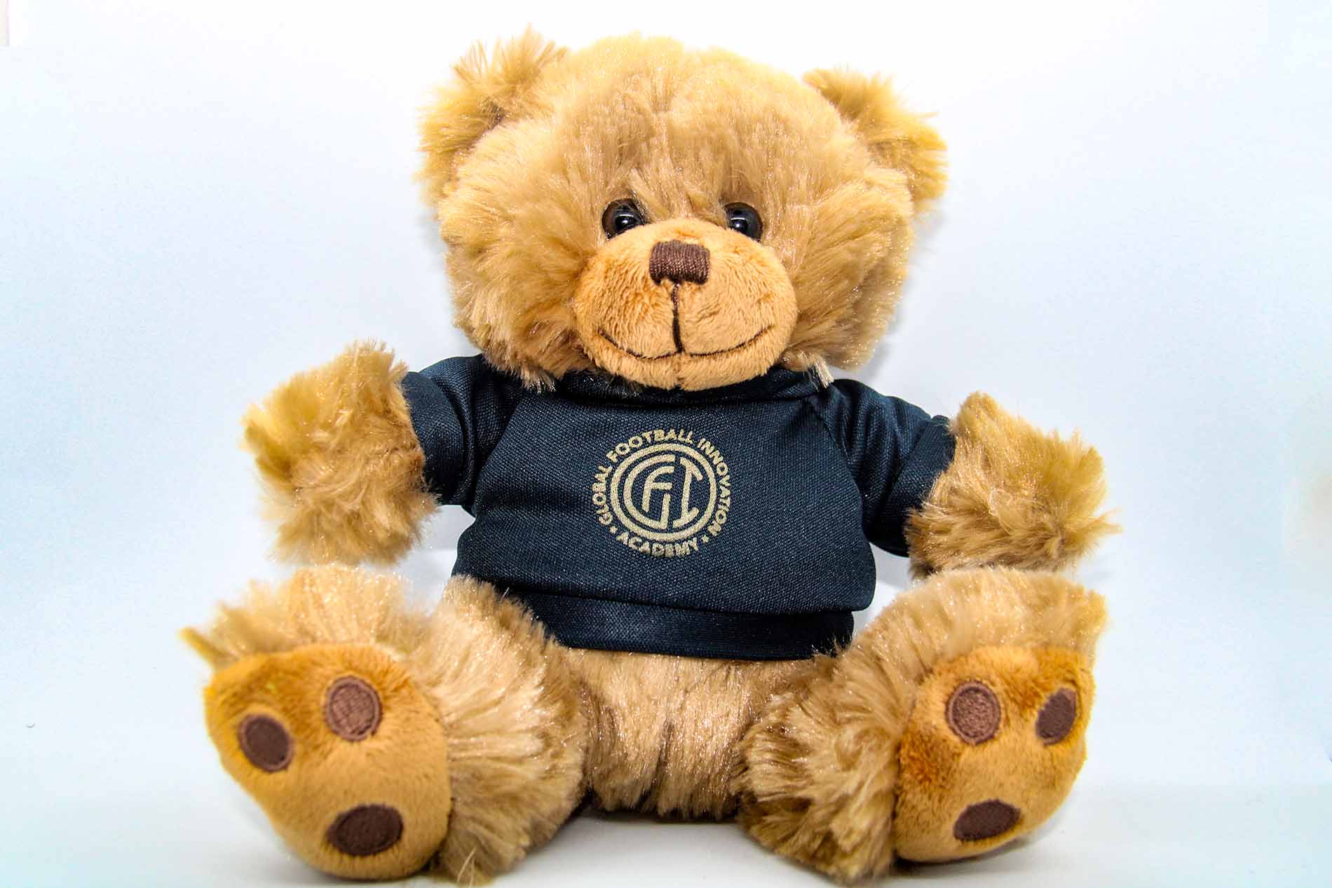 GFI Teddy Bear